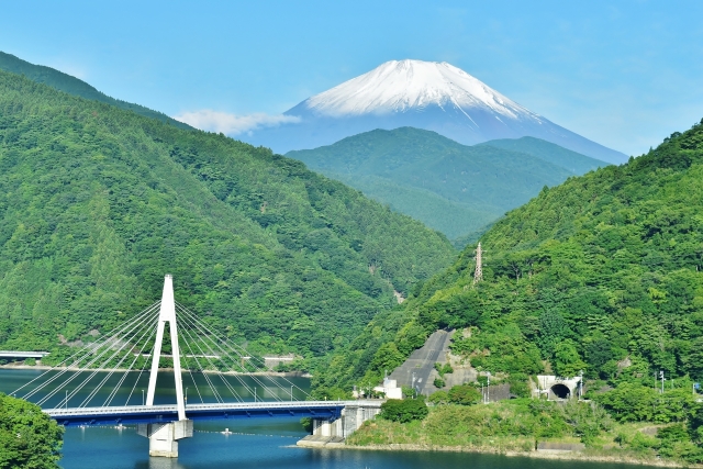 熟年層の婚活でパートナーと分かち合いたい風景｜シニア世代は、結婚するかどうかは別にして、気持ちを分かちあえるパートナーを求めていることが多い